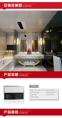 雅巢集成吊顶 600×300多功能浴霸风暖一体设计，成都雅巢建材专访